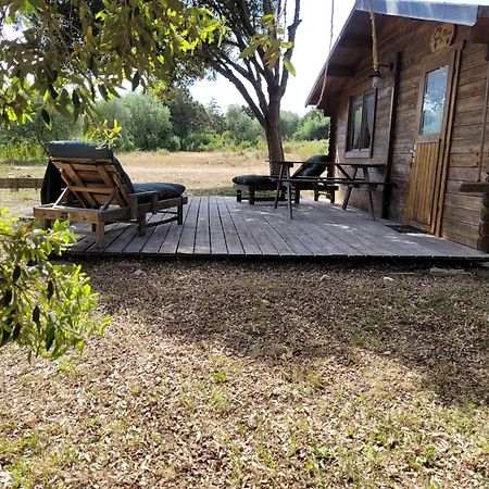 Chalet Climatise Santa Maria A Bonifacio Bonifacio  Eksteriør billede