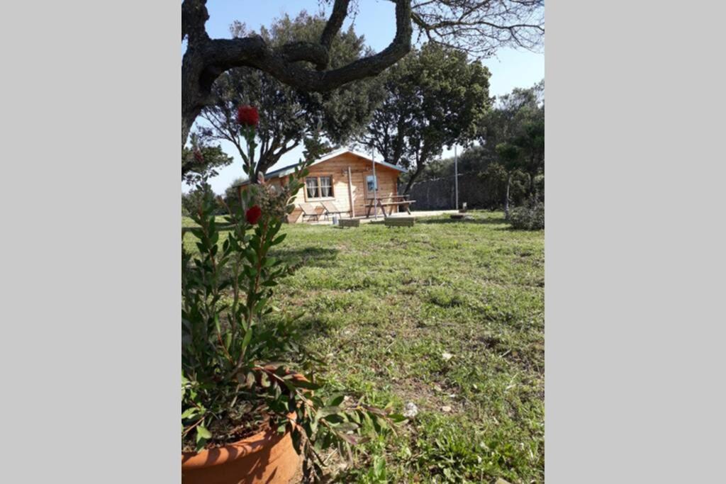 Chalet Climatise Santa Maria A Bonifacio Bonifacio  Eksteriør billede